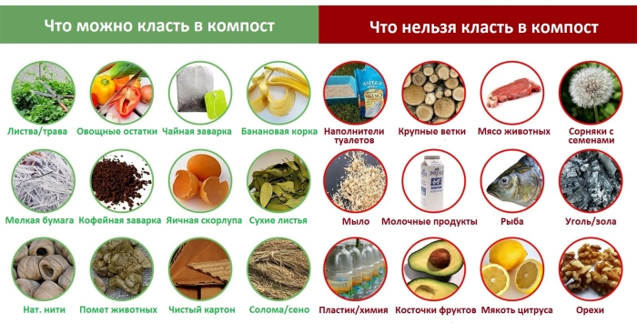 chto-mozhno-chto-nelzya-v-kompost
